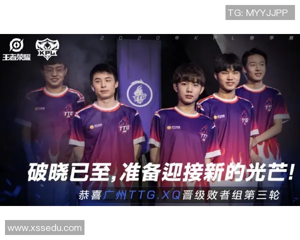 王者荣耀耐力排行榜揭晓WE战队荣登第六名引发热议